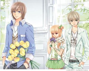 含羞草研究所2024最新入口